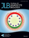 JOURNAL OF LEUKOCYTE BIOLOGY封面